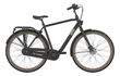 Gazelle Esprit 7-G Nexus FL Trekking Bike