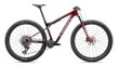 Specialized S-Works Epic World Cup 29R Fullsuspension Mountain Bike