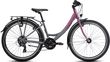 Winora Chica 26R Kinder & Jugend Fahrrad