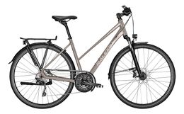 Raleigh Rushhour 6.0 Trekking Bike