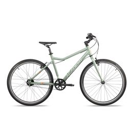 ACADEMY Grade 6 Belt 26R 7S Jugend Fahrrad