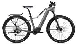 Flyer Goroc2 2.10 Panasonic 750Wh Elektro Trekking Bike