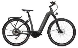 Flyer Gotour6 3.10 Bosch 625Wh Elektro Trekking Bike