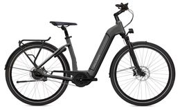 Flyer Gotour6 3.41R Bosch 500Wh Elektro Trekking Bike