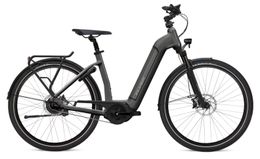 Flyer Gotour6 5.40 Bosch 625Wh Elektro Trekking Bike