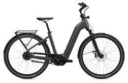 Flyer Gotour 5.43 Bosch 750Wh Elektro Trekking Bike