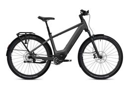 Flyer G1 Goroc TR 7.33 800Wh Elektro Trekking Bike