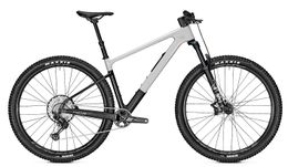 Focus Raven 8.8 Mountain Bike