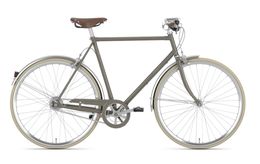 Gazelle Van Stael Trekking Bike