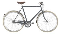 Gazelle Van Stael Trekking Bike