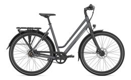 Gazelle Chamonix S11 Trekking Bike