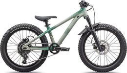 Specialized P.1 Trail 20R Dirt Mountain Bike