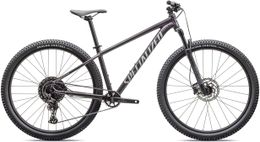 Specialized Rockhopper Comp 29R Mountain Bike