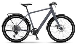 Winora E-Flitzer MAHLE ebikemotion 250Wh Elektro Trekking Bike