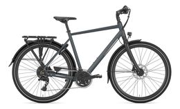 Gazelle Chamonix T20 Trekking Bike