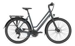 Gazelle Chamonix T20 Trekking Bike