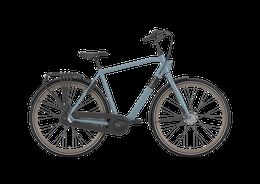 Gazelle Esprit 3-G Nexus FL Trekking Bike